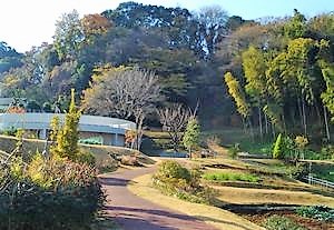 師岡梅の丘公園